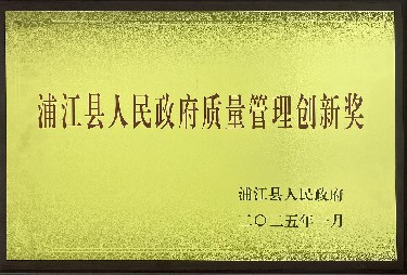 人民政府质量管理创新奖